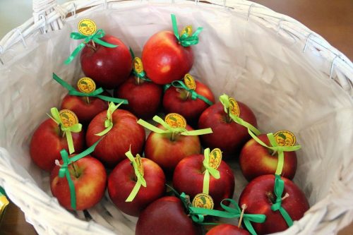 8-copy Podsumowanie konkursu "Zielony Tarnów