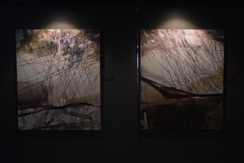 dsc-2828-copy Aleksandra Zuba - Bem "STAN RZECZY" - wystawa malarstwa