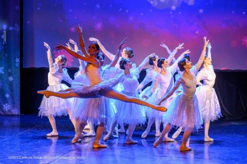 PSR_2543 CSM - Balet w wykonaniu Royal Lviv Ballet - "Dziadek do orzechów"